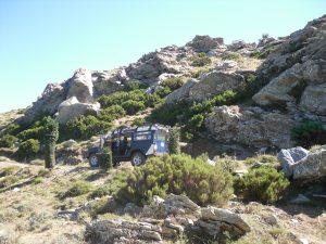 In Sardegna sul Gennargentu alla ricerca dei mufloni