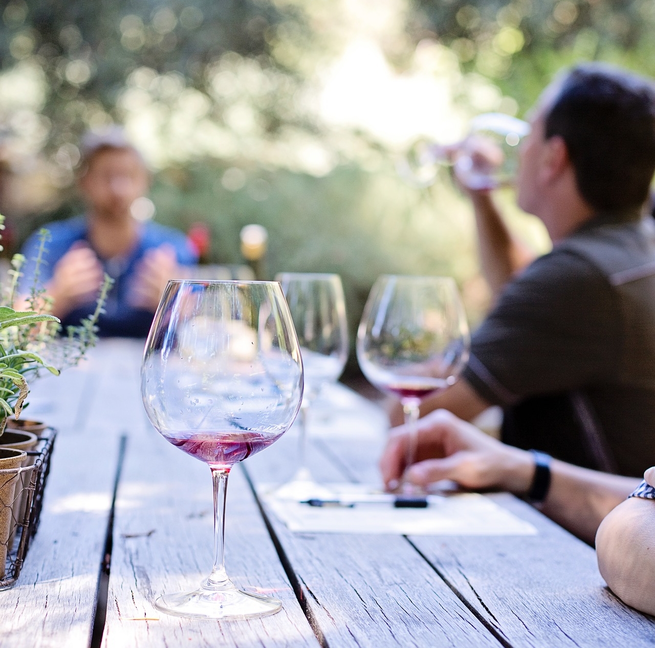 5 Cose che devi assolutamente sapere prima di una degustazione di vino -  Blog Brickscape