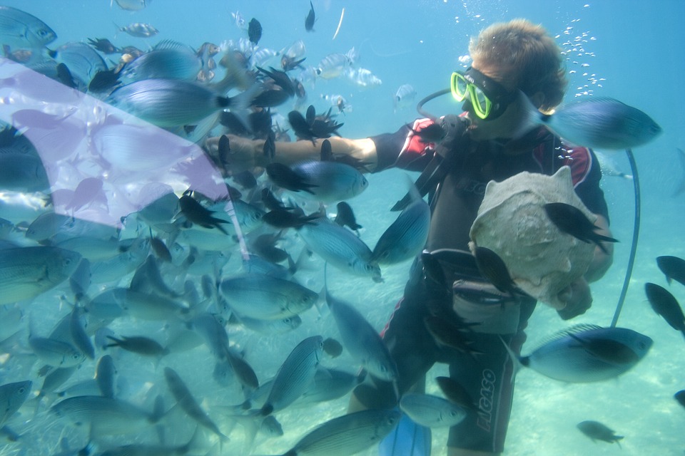 3 luoghi da non perdere dell’Arcipelago Toscano per chi ama lo snorkeling