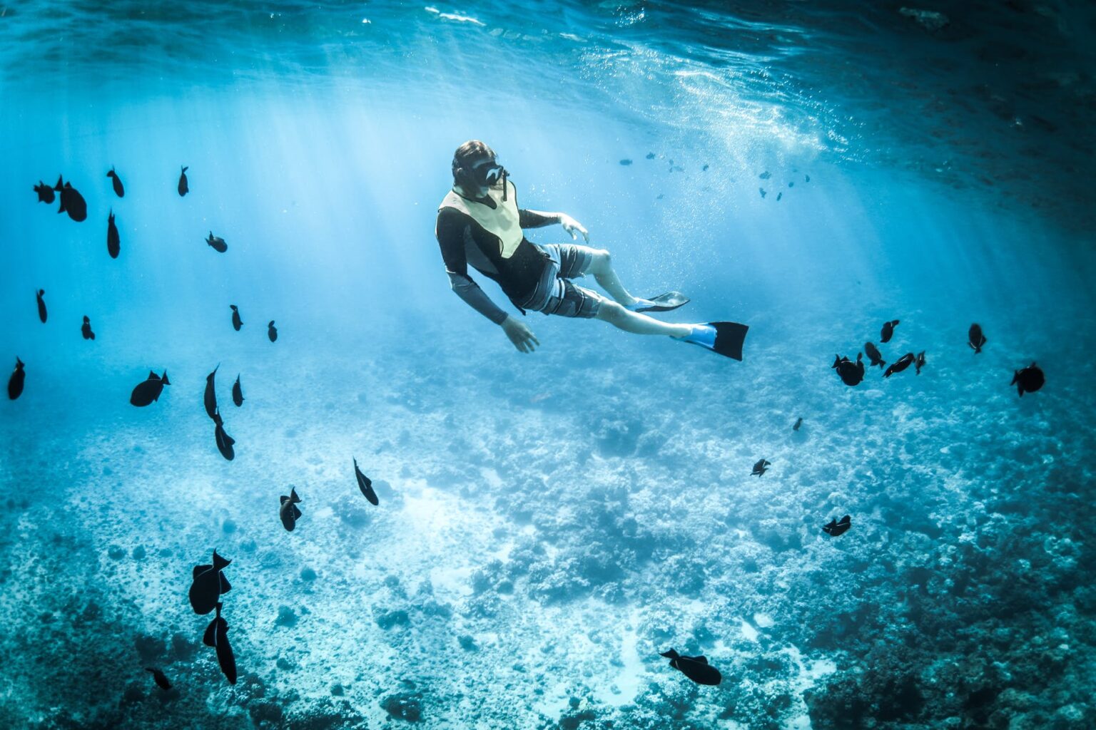 3 luoghi da non perdere dell’Arcipelago Toscano per chi ama lo snorkeling