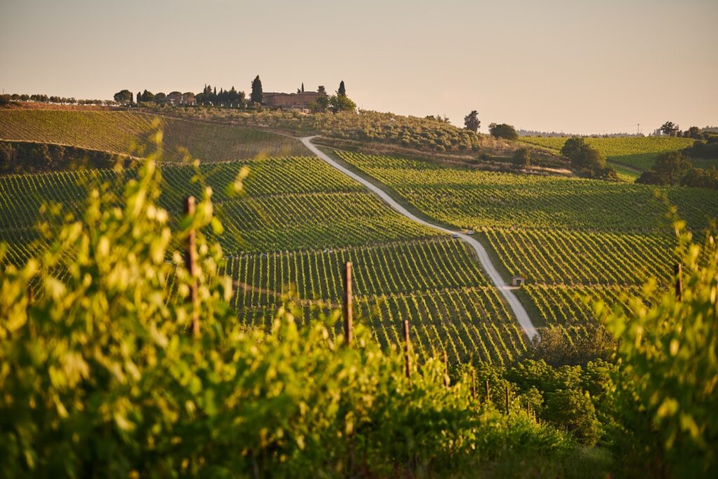 6 tappe da non perdere per un itinerario di-vino nel Chianti