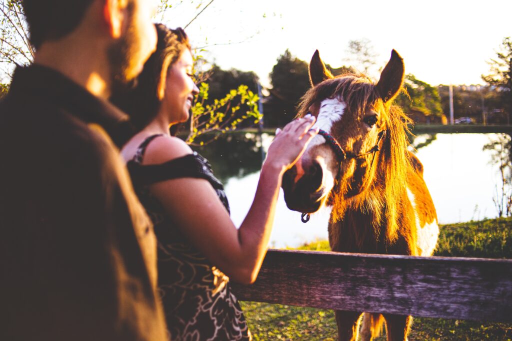 Attimi romantici con un cavallo