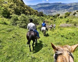 Passeggiata a cavallo in Sicilia: una giornata tra i laghi vicino Palermo