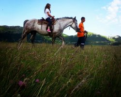Horse riding over Cerrano hills in Abruzzo