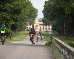 Tour in bici nel parco di San Rossore a Pisa