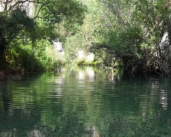 Vacanza nella natura in Sicilia: escursione organizzata nella Valle dell’Anapo