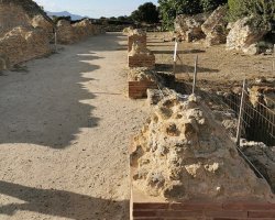 Barumini archeological site Guided walking tour with wine tasting