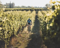 Montepulciano E-bike tour and wine tasting