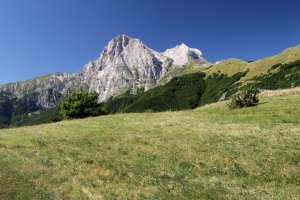 Trekking organizzato sulle orme del Lupo sulla montagna d’Abruzzo