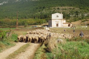Pastori per un giorno con un' escursione in montagna nel Gran Sasso