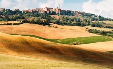 Val d’Orcia bike tour with typical food and wine tasting