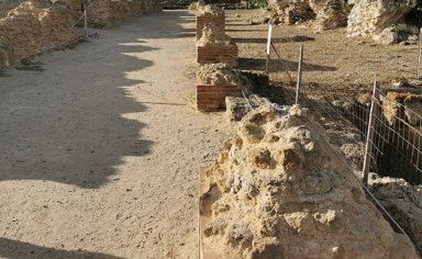 Visita guidata al sito archeologico di Barumini con degustazione di vino