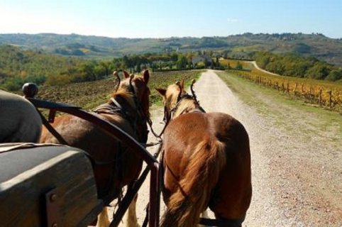 Pferdekutschenfahrt in Umbrien und Weinprobe