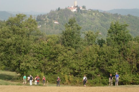 Trekking a piedi o in mountain bike tra Langhe e Monferrato