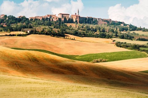 Val d’Orcia bike tour with typical food and wine tasting