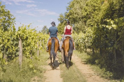 Valdichiana horse riding with winery picnic basket tasting