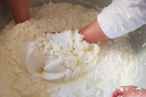 Milch-Käse-Workshop in Marmilla auf Sardinien