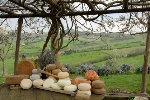 Cheese and wine tasting in Pienza