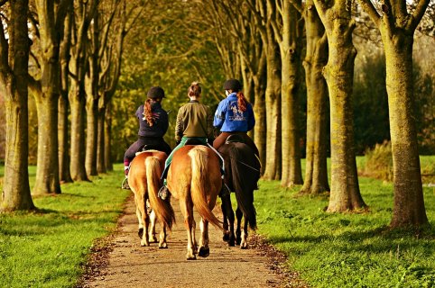 Horse riding in the Umbrian countryside with overnight stay